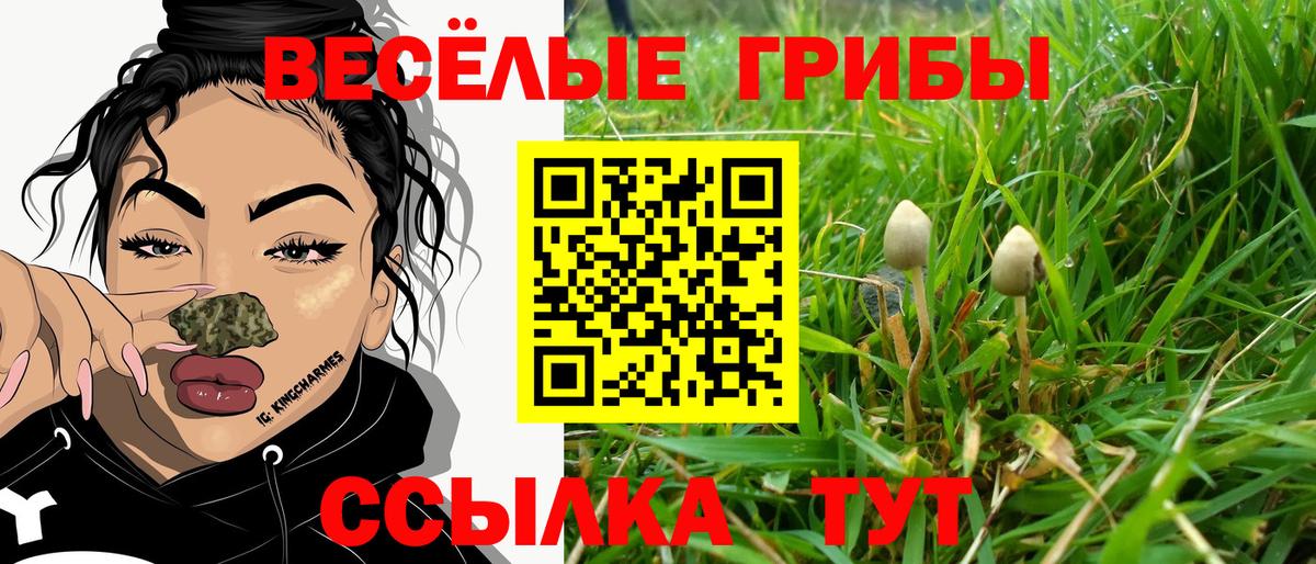 Псилоцибиновые грибы Cubensis Балаково