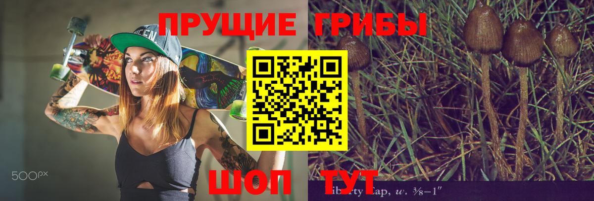Балаково  Галлюциногенные грибы Cubensis  Псилоцибиновые грибы GOLDEN TEACHER  Вход с VPN 