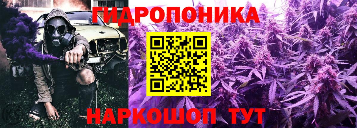 Марихуана планчик  Вход с VPN  Балаково  Канабис сатива  Марихуана гибрид 